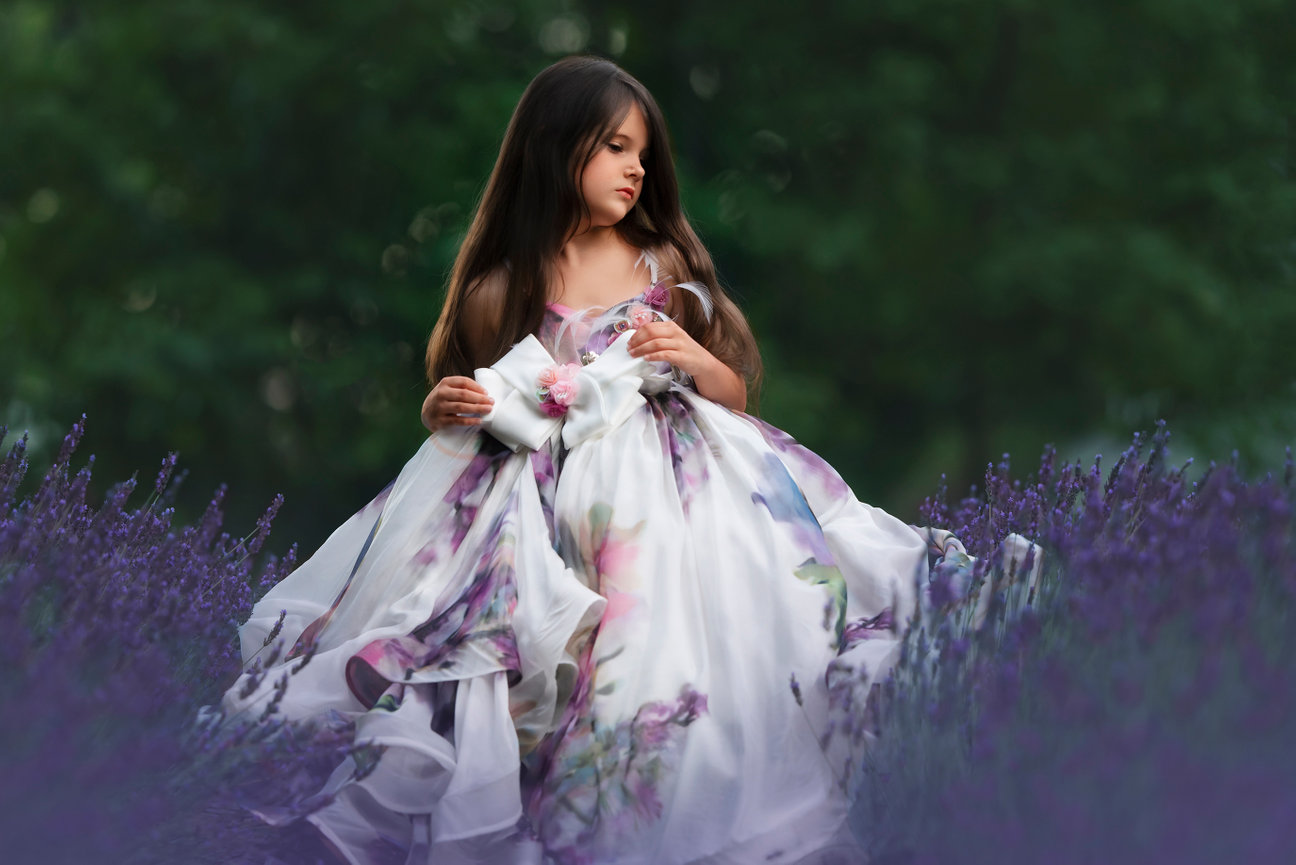 Lavender Fields