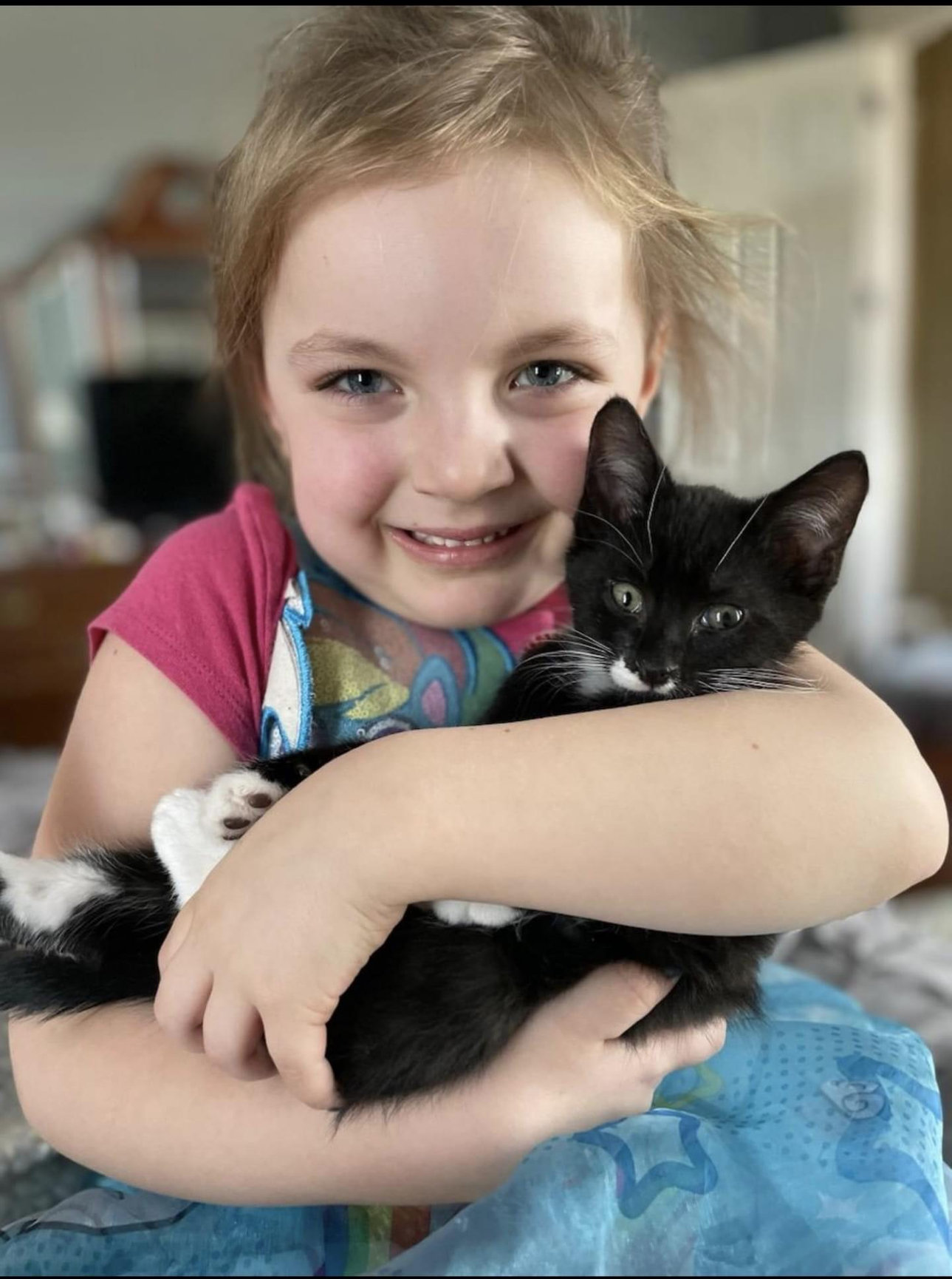 Craigslist Harrisonburg Va Pets - sp99ogp